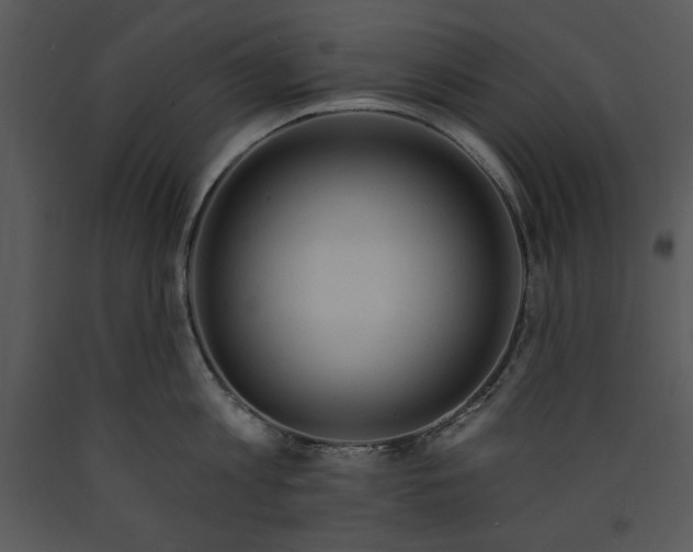 X0000089660813200707191647