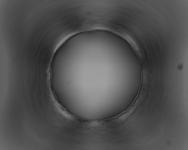 X0000089660814200707191647