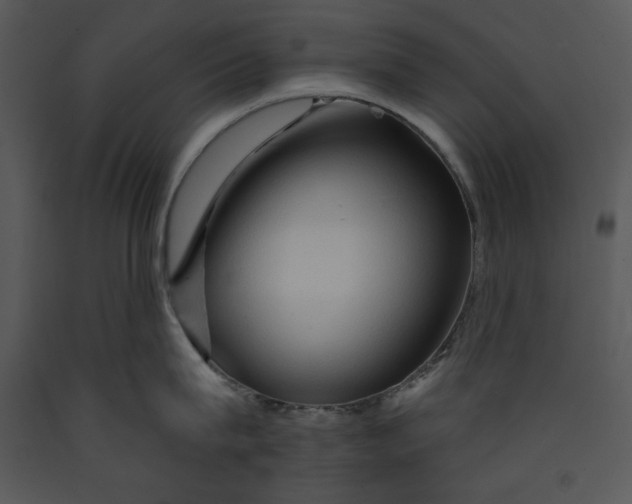 X0000089660815200707191647