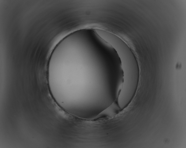 X0000089660816200707191647