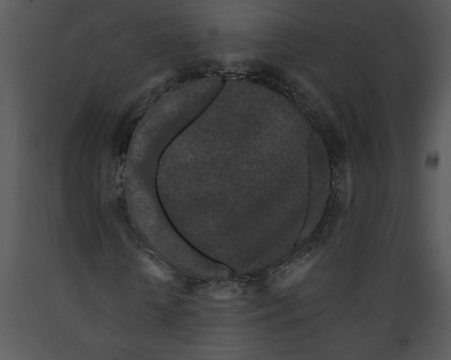 X0000089660818200707191646