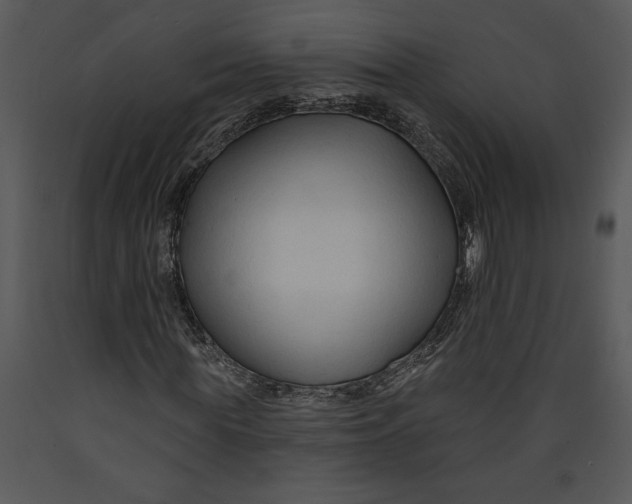 X0000089660819200707191646