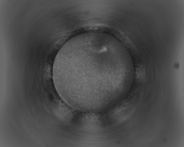 X0000089660820200707191646