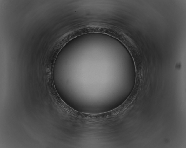 X0000089660821200707191646