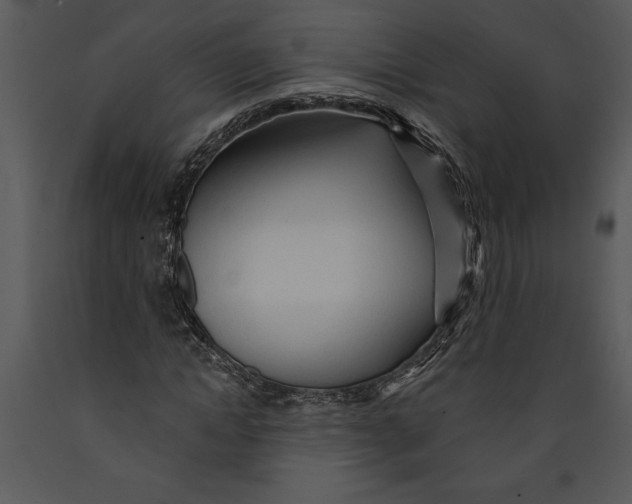 X0000089660822200707191646