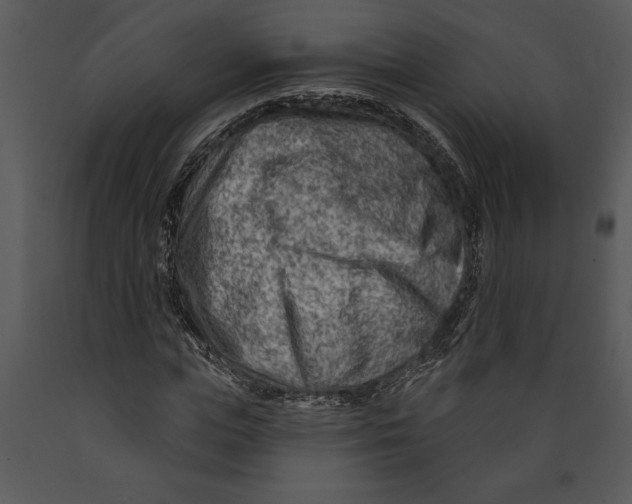 X0000089660823200707191646