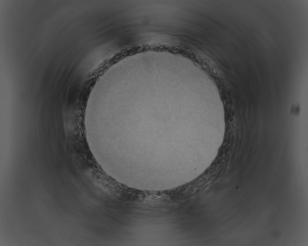 X0000089660824200707191646