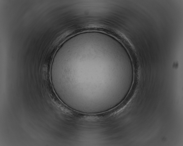 X0000089660825200707191646