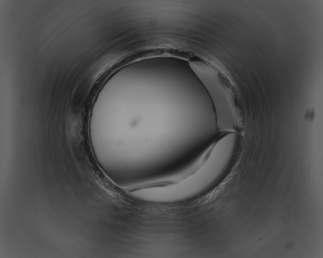 X0000089660826200707191646