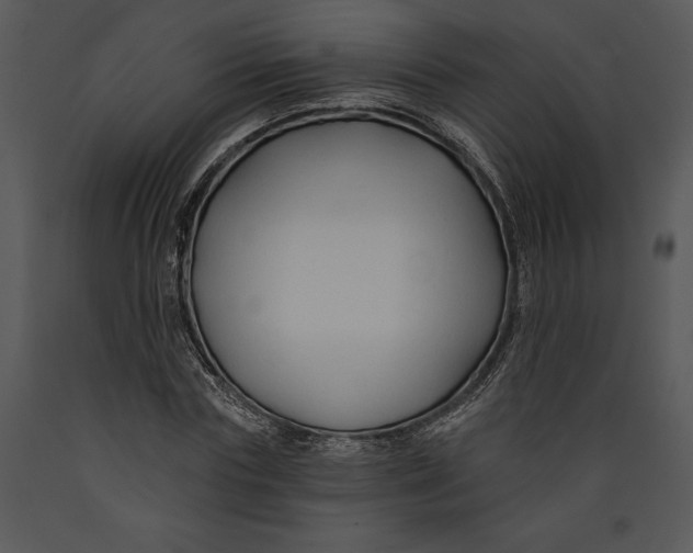 X0000089660827200707191646