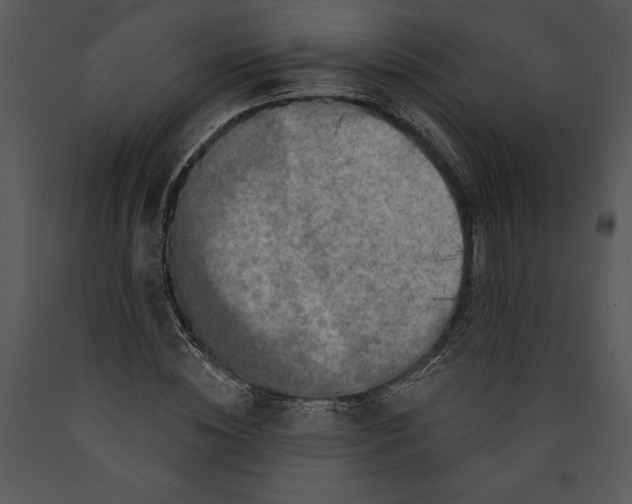 X0000089660828200707191646