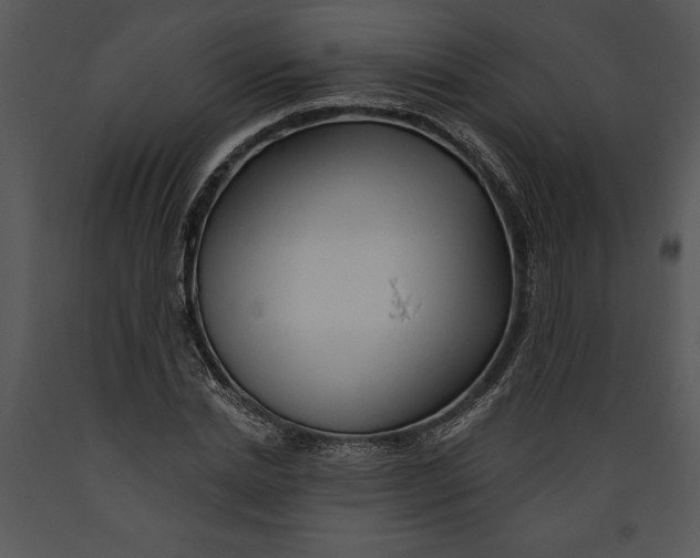 X0000089660830200707191646