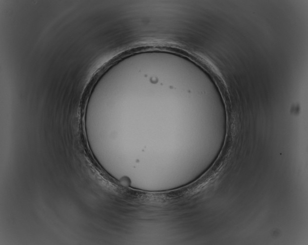 X0000089660831200707191646