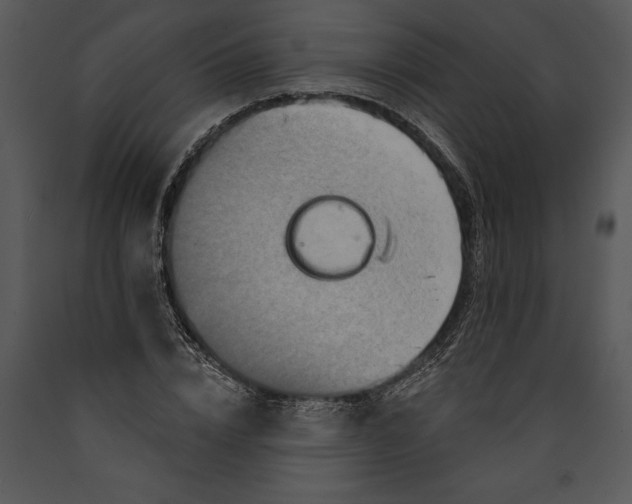 X0000089660832200707191646