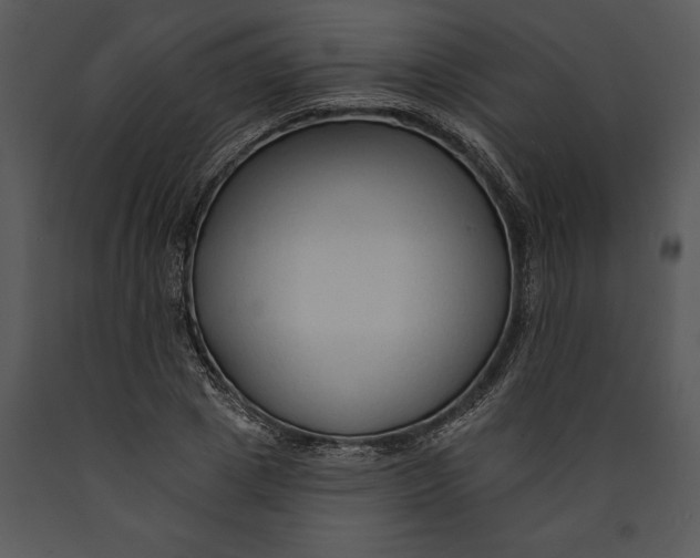 X0000089660833200707191646