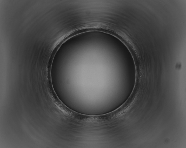 X0000089660834200707191646