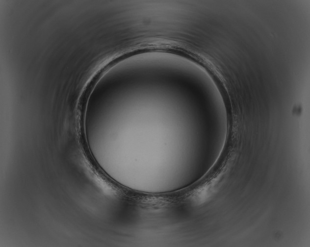 X0000089660835200707191646