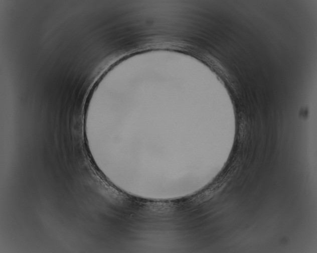 X0000089660836200707191646