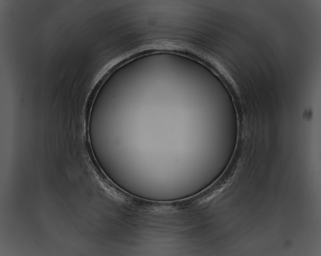X0000089660837200707191646
