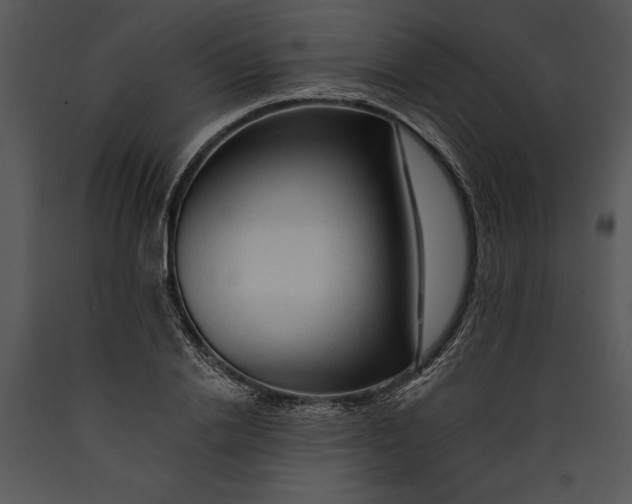 X0000089660838200707191646