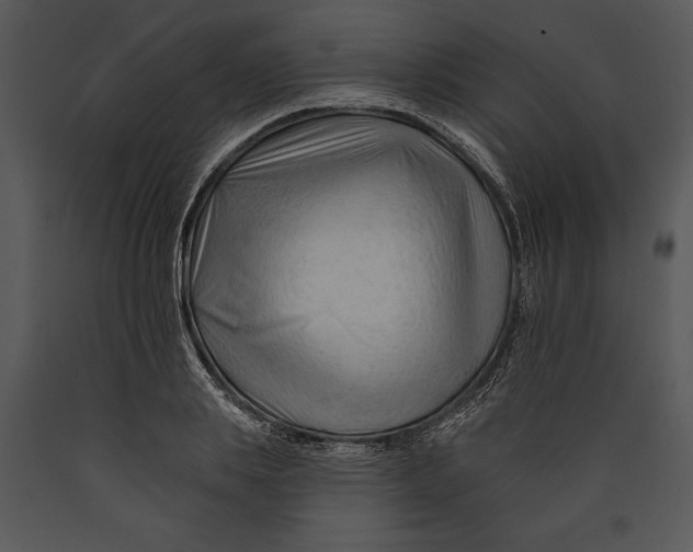 X0000089660839200707191646