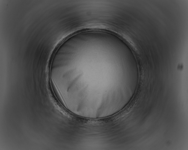 X0000089660840200707191646