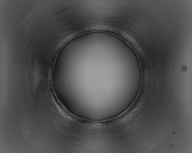 X0000089660841200707191646