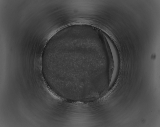 X0000089660842200707191646