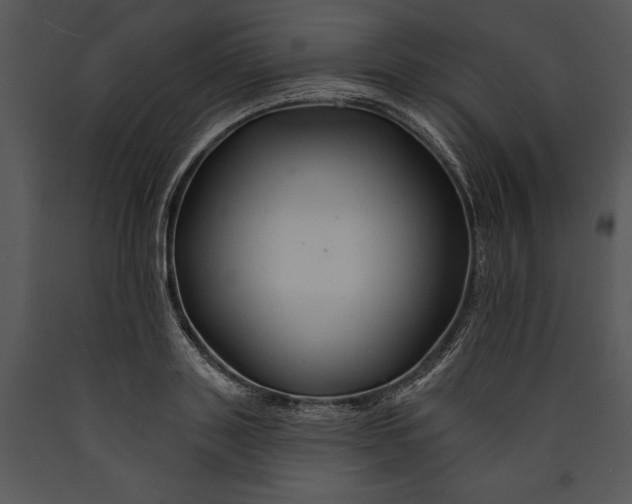 X0000089660843200707191646
