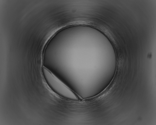 X0000089660844200707191646
