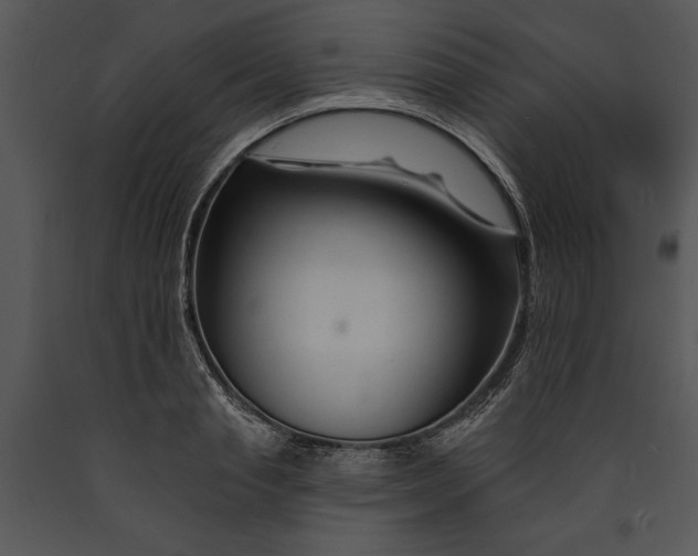 X0000089660845200707191647