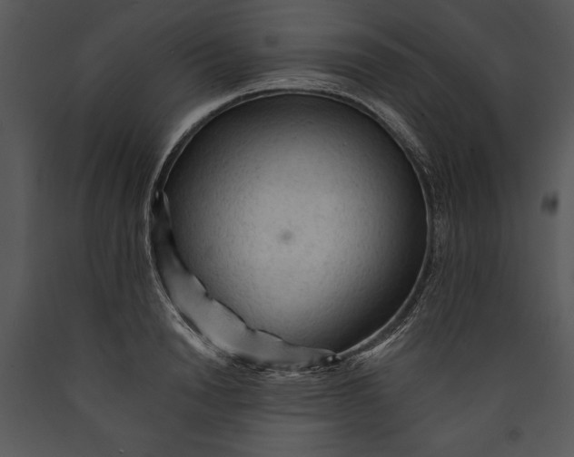 X0000089660846200707191647
