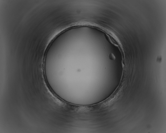 X0000089660847200707191647