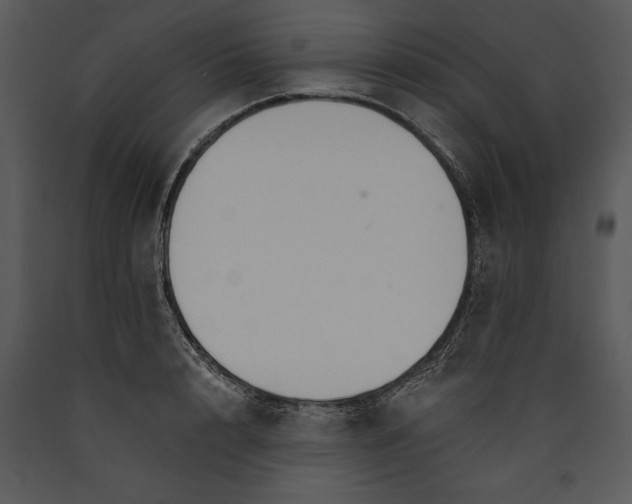 X0000089660848200707191647