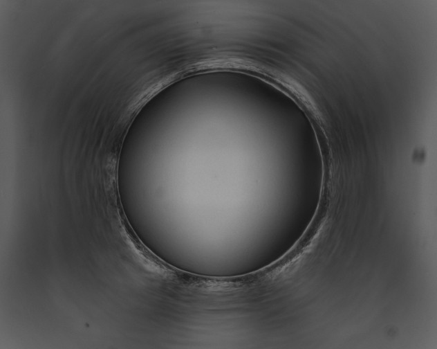 X0000089660849200707191647