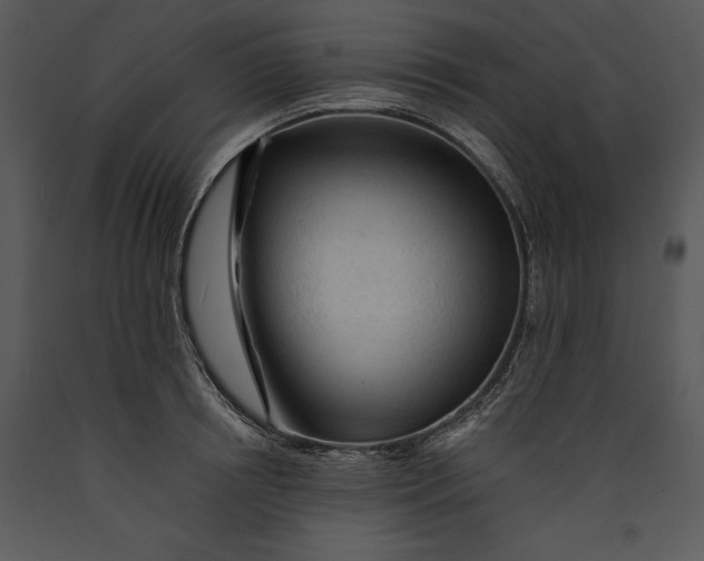 X0000089660850200707191647