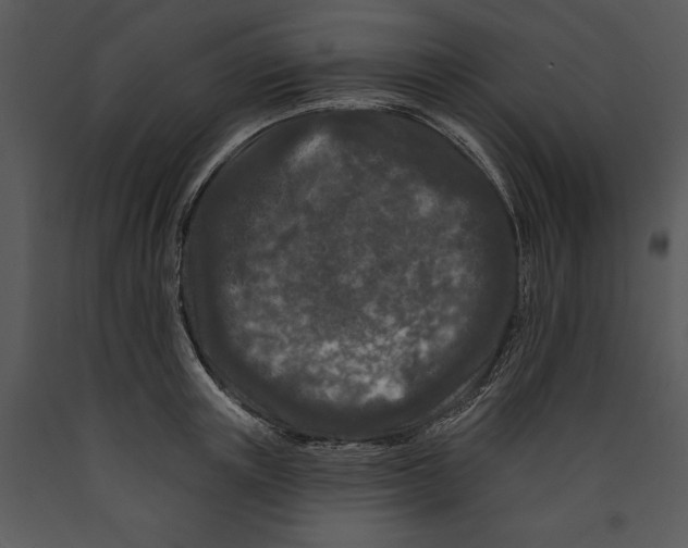 X0000089660851200707191647