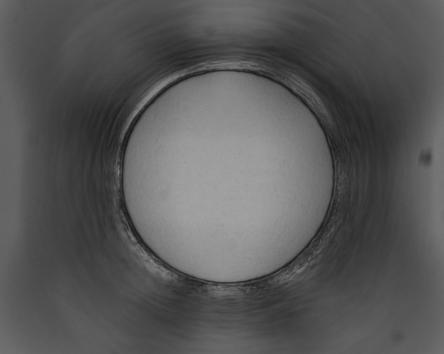X0000089660852200707191647