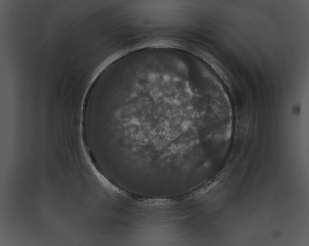 X0000089660853200707191647