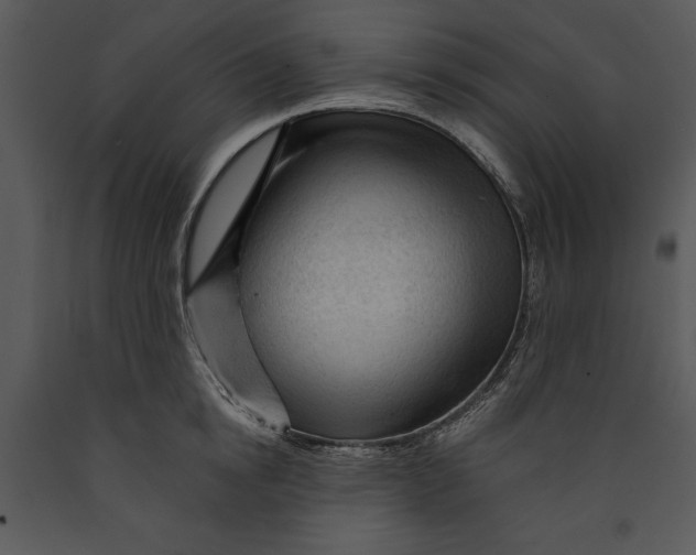 X0000089660854200707191647
