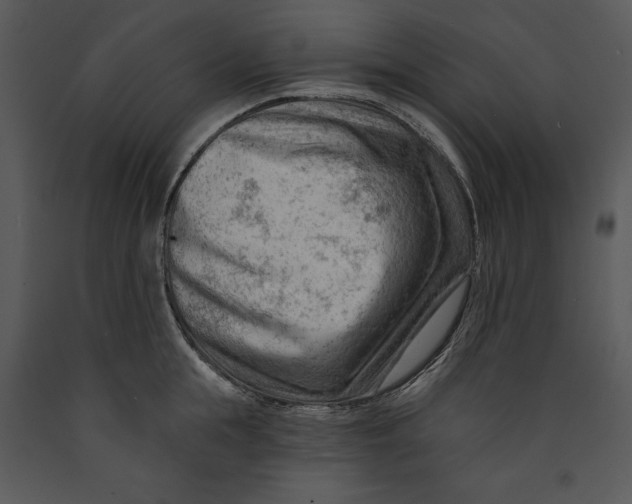 X0000089660855200707191647