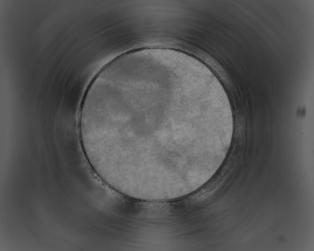 X0000089660856200707191647
