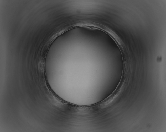 X0000089660857200707191647