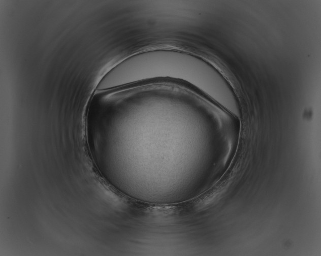 X0000089660858200707191647