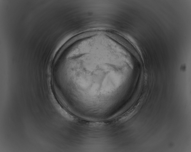 X0000089660859200707191647