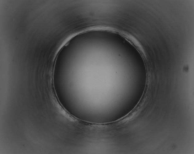 X0000089660860200707191647