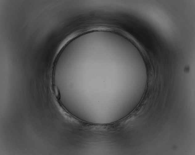 X0000089660861200707191647