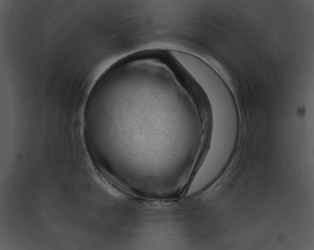 X0000089660862200707191647