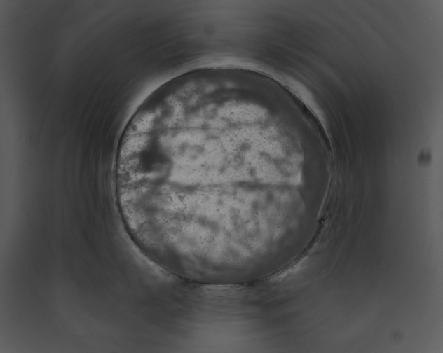 X0000089660863200707191647