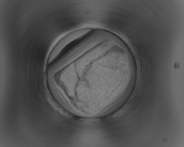 X0000089660864200707191647